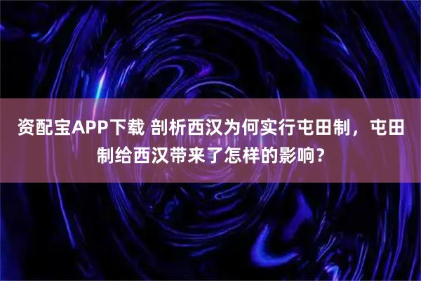 资配宝APP下载 剖析西汉为何实行屯田制，屯田制给西汉带来了怎样的影响？