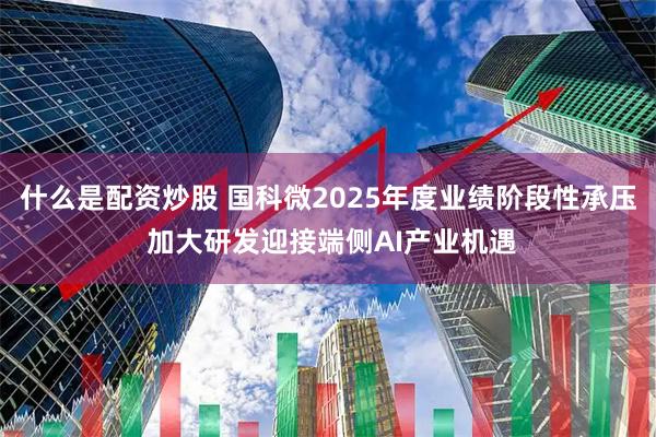 什么是配资炒股 国科微2025年度业绩阶段性承压 加大研发迎接端侧AI产业机遇