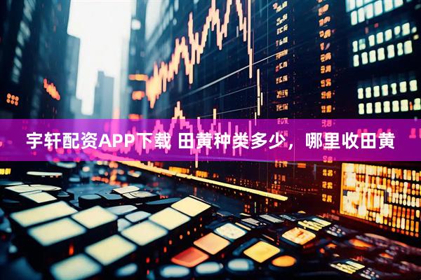 宇轩配资APP下载 田黄种类多少，哪里收田黄