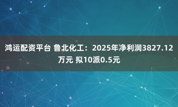 鸿运配资平台 鲁北化工：2025年净利润3827.12万元 拟10派0.5元